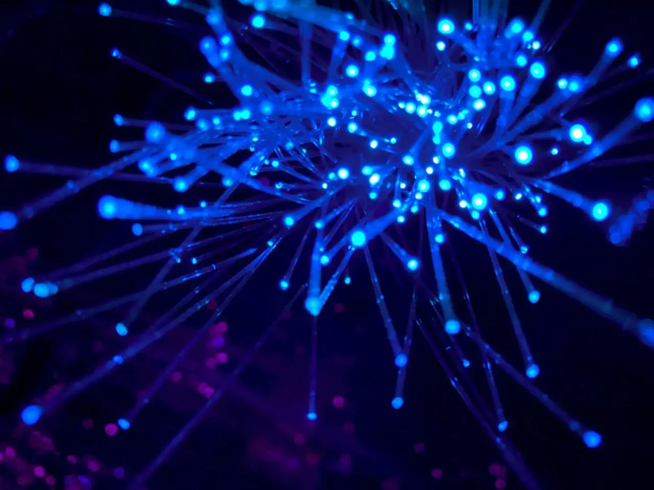 Leuchtende blaue Glasfaserstränge mit Lichtpunkten auf dunklem Hintergrund; abstrakte Darstellung von Datenverkehr.