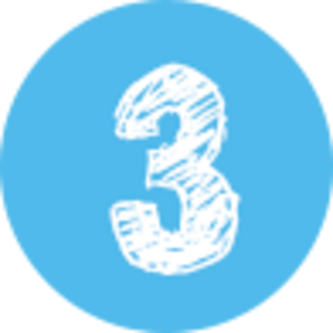 Step 03