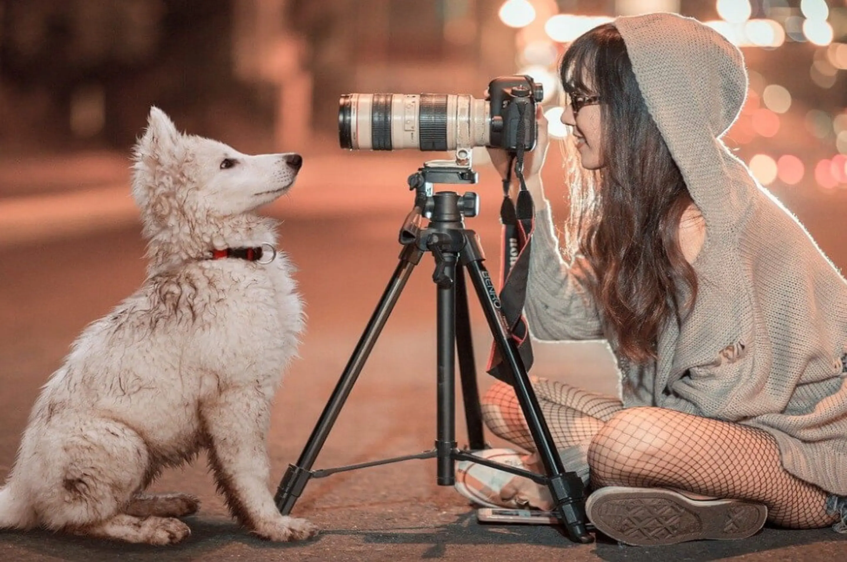 Frau fotografiert mit einem Stativ einen weißen Hund